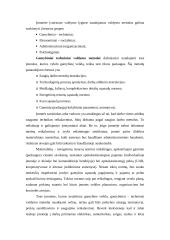 Įmonių valdymas 2 puslapis