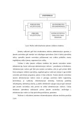 Įmonių valdymas 11 puslapis
