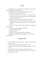 Įmonių valdymas 13 puslapis