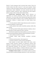 Įmonių valdymas 4 puslapis