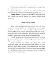 Įmonių valdymas 10 puslapis