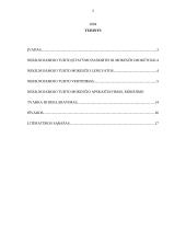 Įmonių, užsiimančių nekilnojamojo turto veikla, vadyba 2 puslapis