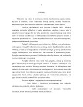 Įmonių, užsiimančių nekilnojamojo turto veikla, vadyba 3 puslapis