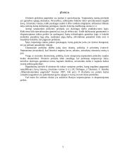 Importas ir eksportas Rusijoje 3 puslapis