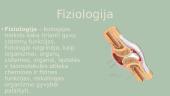 Žmogaus pažinimo istorija 18 puslapis