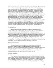 Individuali burnos higiena 12 puslapis