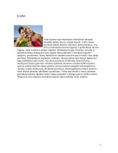 Individuali burnos higiena 2 puslapis