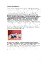 Individuali burnos higiena 3 puslapis