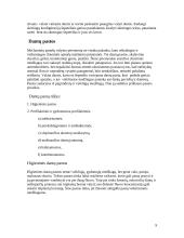 Individuali burnos higiena 8 puslapis