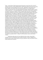 Kaip literatūroje atskleidžiamos žmogaus pastangos suvokti save? 3 puslapis