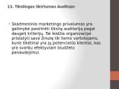 Skaitmeninio marketingo įtaka prekės ženklo žinomumui 14 puslapis