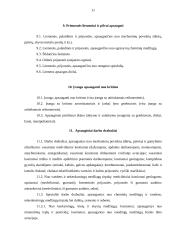 Individualios darbo apsaugos priemonės 11 puslapis