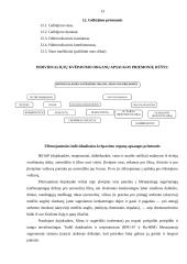 Individualios darbo apsaugos priemonės 13 puslapis