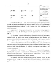 Individualios darbo apsaugos priemonės 20 puslapis