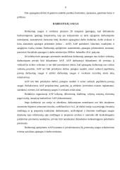 Individualios darbo apsaugos priemonės 6 puslapis