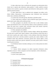 Individualios darbo apsaugos priemonės 10 puslapis