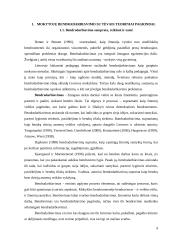 Mokytojų bendradarbiavimas 3 puslapis