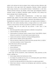 Mokytojų bendradarbiavimas 6 puslapis