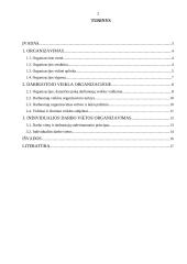Individualios darbuotojo veiklos organizavimas 2 puslapis