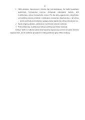 Individualios darbuotojo veiklos organizavimas 12 puslapis
