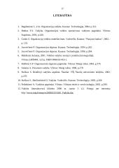 Individualios darbuotojo veiklos organizavimas 17 puslapis