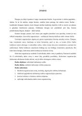 Individualios darbuotojo veiklos organizavimas 3 puslapis