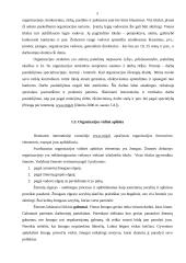 Individualios darbuotojo veiklos organizavimas 5 puslapis