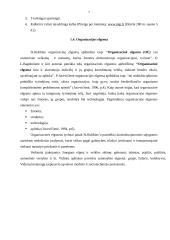 Individualios darbuotojo veiklos organizavimas 7 puslapis