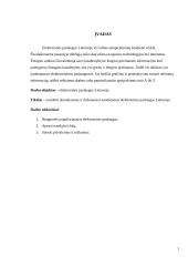 Elektroninės paslaugos Lietuvoje 3 puslapis