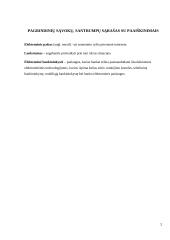 Elektroninės paslaugos Lietuvoje 4 puslapis