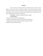 Individualios įmonės steigimas: IĮ "Pirtys prie ežero" 2 puslapis