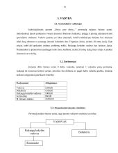 Individualios įmonės steigimas: IĮ "Pirtys prie ežero" 12 puslapis