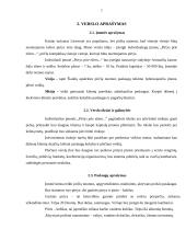 Individualios įmonės steigimas: IĮ "Pirtys prie ežero" 6 puslapis