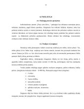 Individualios įmonės steigimas: IĮ "Pirtys prie ežero" 10 puslapis