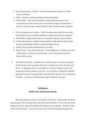 Meilės tema lietuvių literatūroje (kalba su planu) 2 puslapis