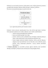 Individualių karjeros planų reikšmė individui ir įmonei 11 puslapis