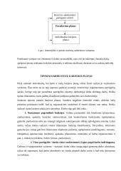 Individualių karjeros planų reikšmė individui ir įmonei 12 puslapis