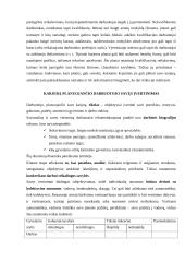 Individualių karjeros planų reikšmė individui ir įmonei 14 puslapis