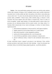 Individualių karjeros planų reikšmė individui ir įmonei 18 puslapis