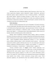 Individuli įmonė: samprata, steigimas 2 puslapis