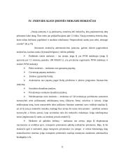 Individuli įmonė: samprata, steigimas 11 puslapis