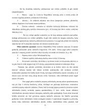 Individuli įmonė: samprata, steigimas 12 puslapis