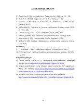 Individuli įmonė: samprata, steigimas 18 puslapis