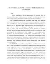 Individuli įmonė: samprata, steigimas 7 puslapis