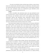 Individuli įmonė: samprata, steigimas 9 puslapis