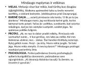 Mindaugas – Lietuvos vienytojas. Kodėl Mindaugą galima vadinti prieštaringu charakteriu? 7 puslapis
