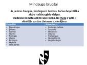 Mindaugas – Lietuvos vienytojas. Kodėl Mindaugą galima vadinti prieštaringu charakteriu? 10 puslapis