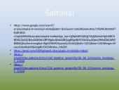 Plačialapiai ir mišrieji miškai (skaidrės) 13 puslapis