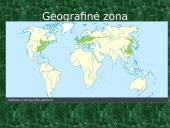 Plačialapiai ir mišrieji miškai (skaidrės) 4 puslapis