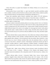Infliacijos teorija 17 puslapis
